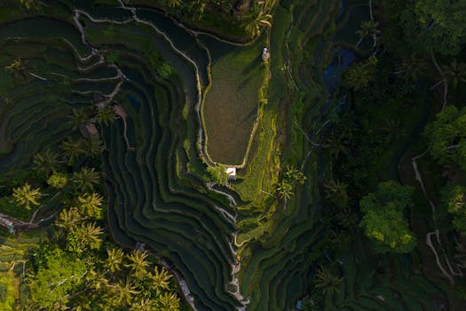 Bali’s Rice Gem The Chedi Club Tanah Gajah