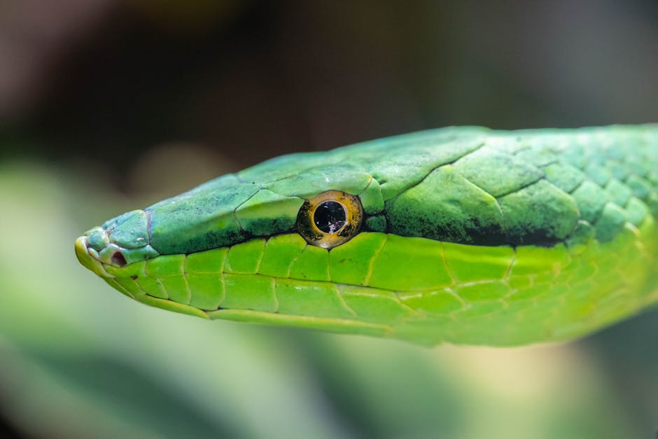 Costa Rica’s Rainforest Hideaway Nayara Gardens