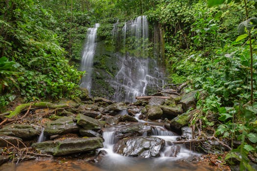 Eco Rainforest Wonder Nayara Gardens Costa Rica