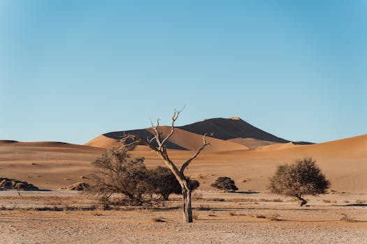 Namibian Dunes Retreat Sossusvlei Desert Lodge