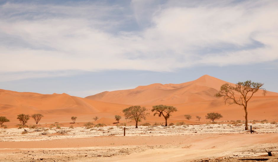 Namibia’s Dune Wonder at Sossusvlei Desert Lodge