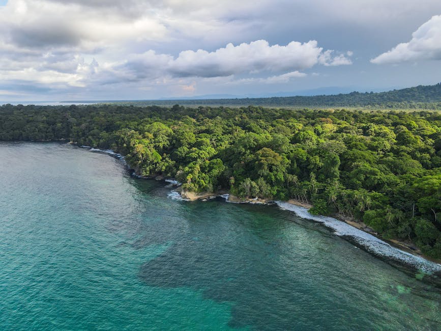 Rainforest Paradise Lapa Rios, Costa Rica