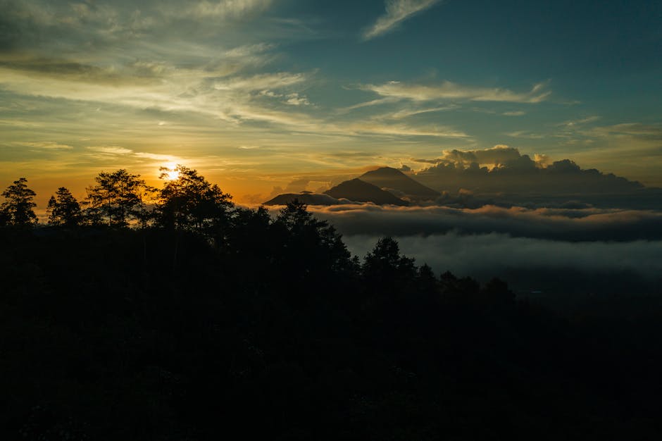 Rice Terrace Calm in Bali at The Chedi Club Tanah Gajah