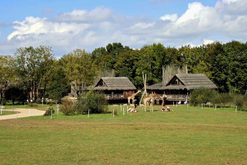 Safari Bliss at Singita Lebombo Lodge
