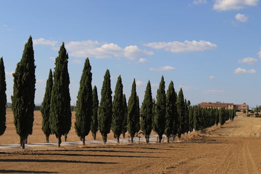 Tuscan Legacy Stay Castello Banfi Borgo