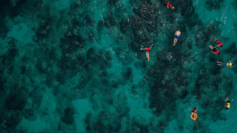 Maldives Coral Hotels With Floating Ceilings and Glass Floors
