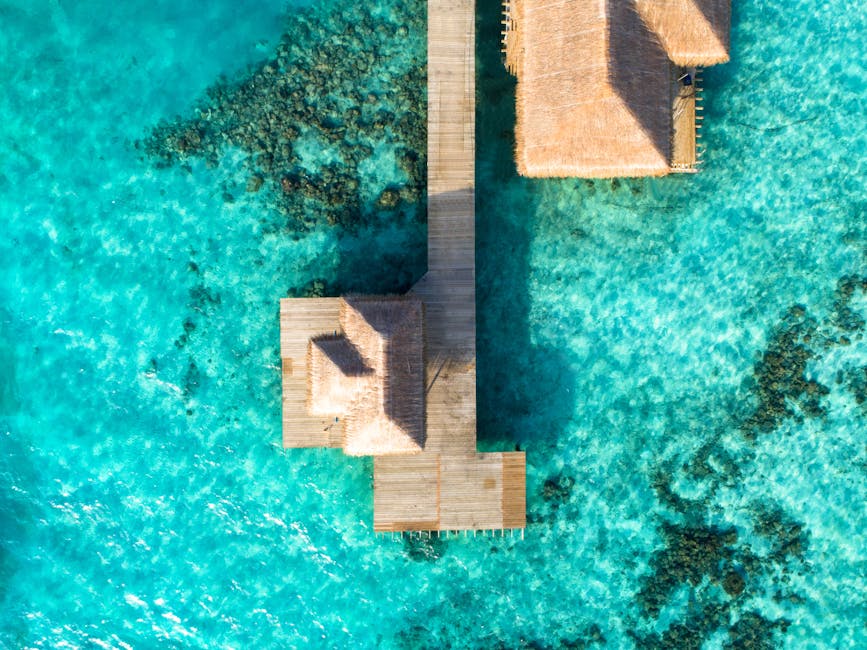 Maldives Coral Hotels With Floating Paths and Glass Ceilings