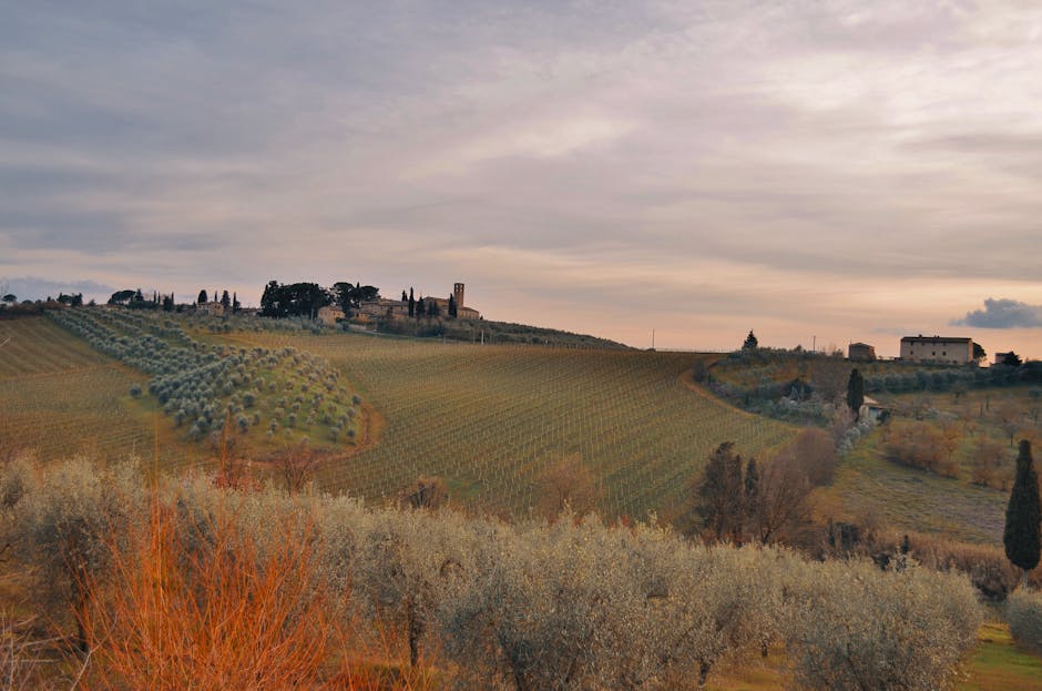 Tuscany Vineyard Hotels With Olive Ceilings and Fire Lounges
